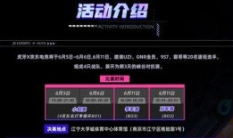 战哥老粉爆料视频播放,视频播放背后的故事与真相